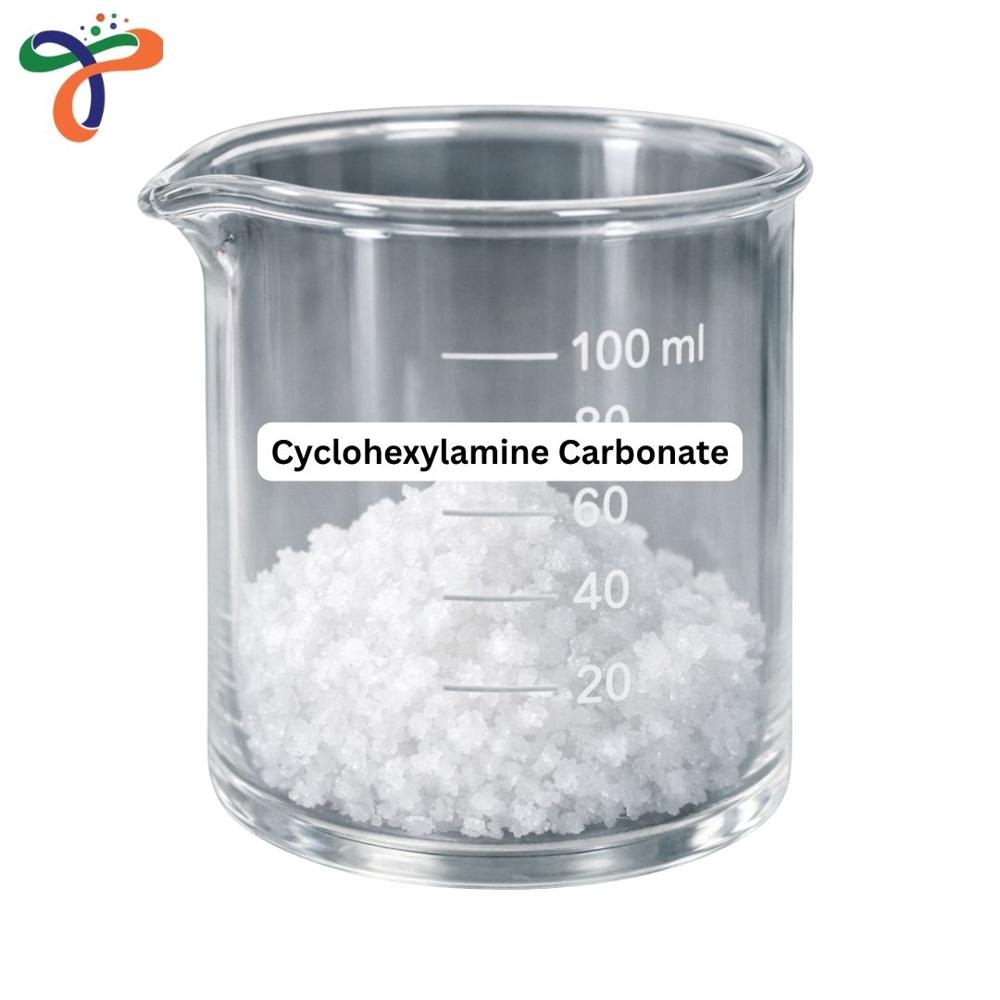 Cyclohexylamine Carbonate (20227-92-3)