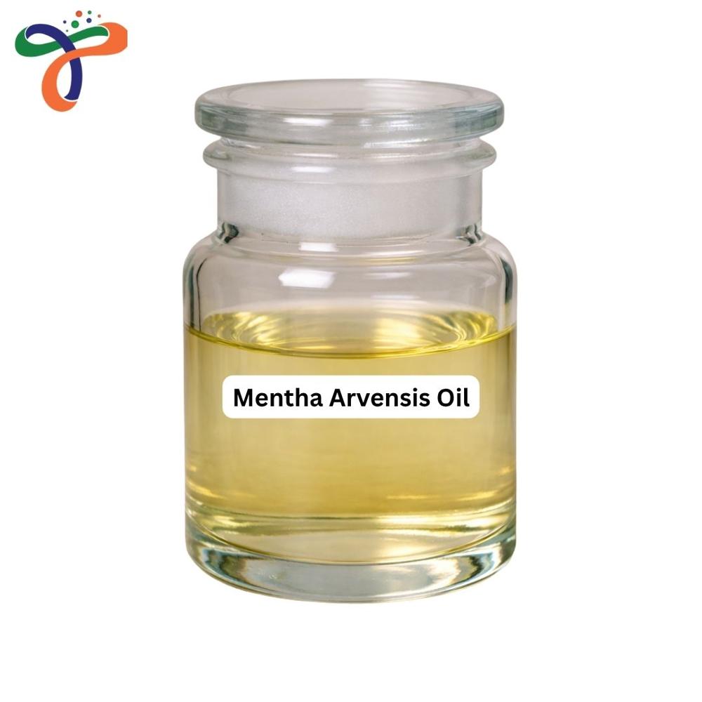 Mentha Arvensis Oil