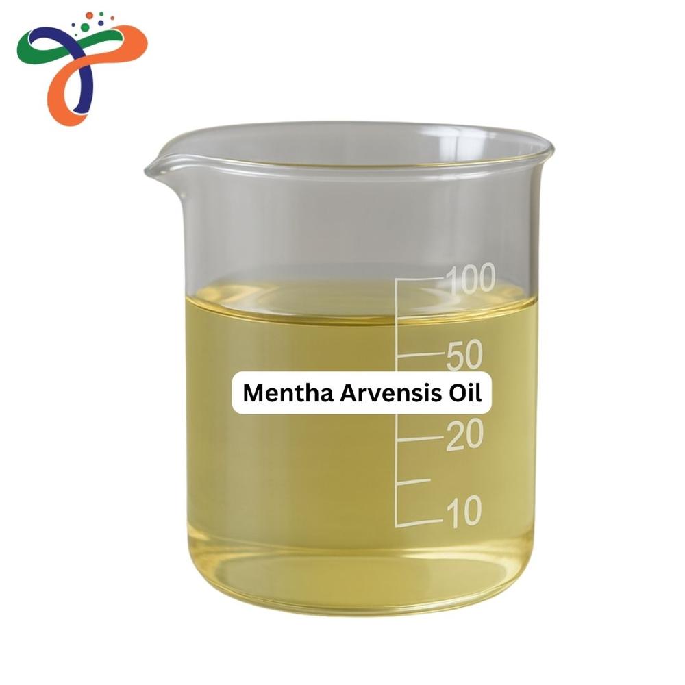 Mentha Arvensis Oil