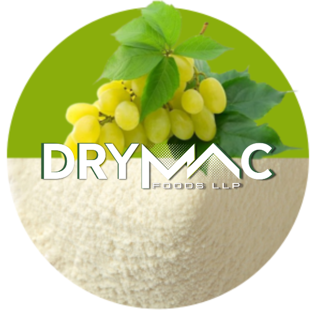 Spray Dried Green Grapes Powder