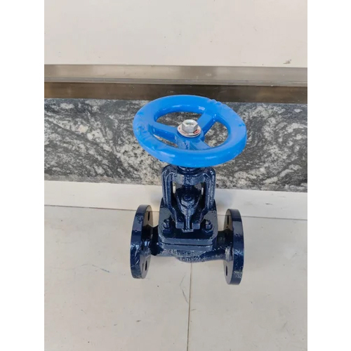 Flange End Globe Valve - Color: Blue