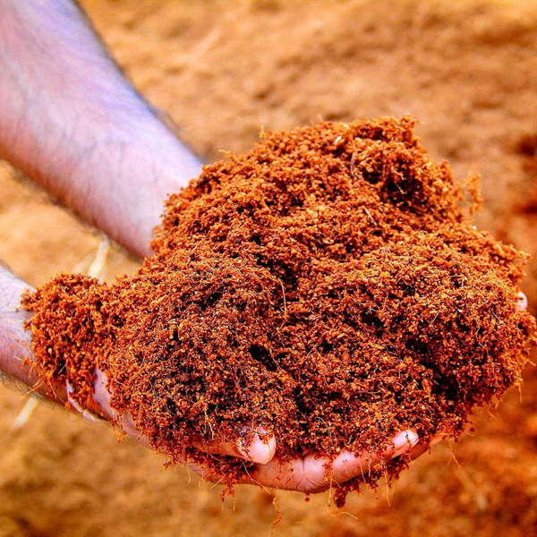 Cocopeat Shell