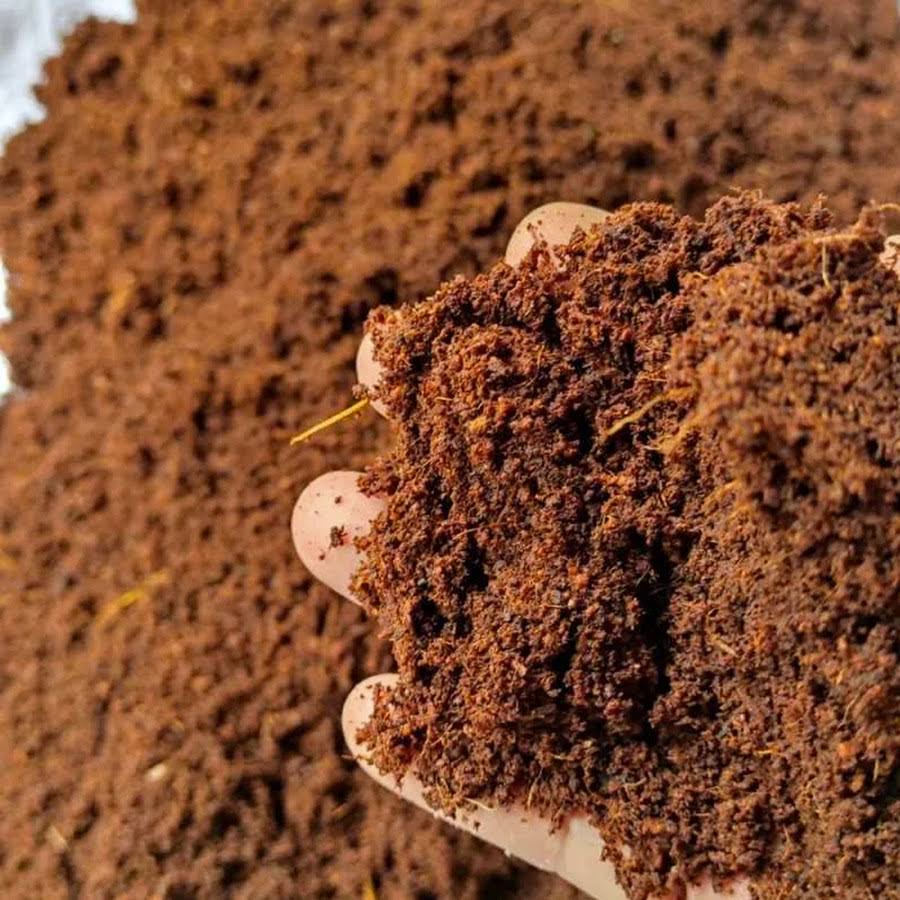 Cocopeat Shell