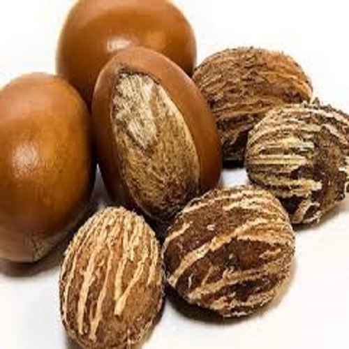 SHEA NUT .