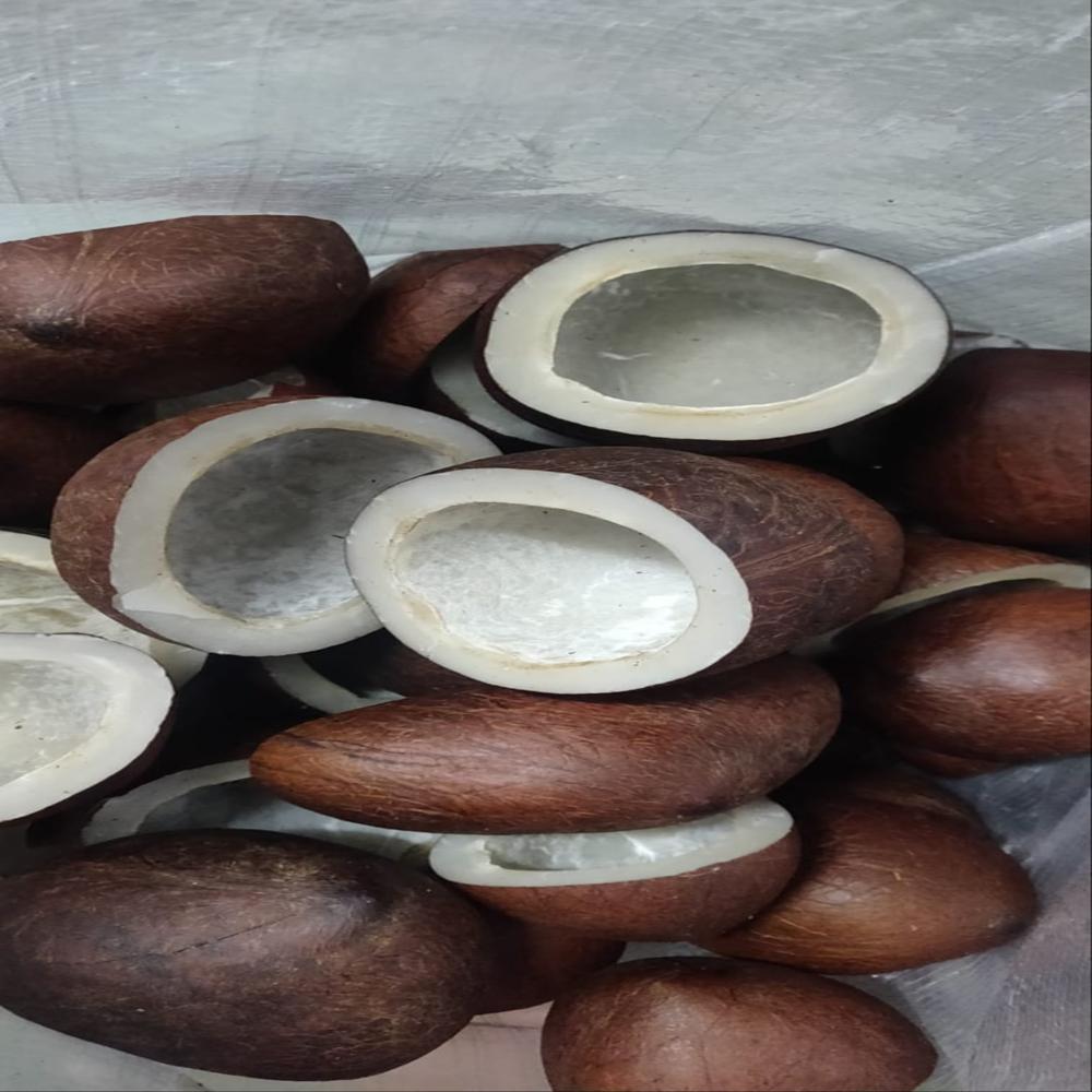 Rajapuri Copra