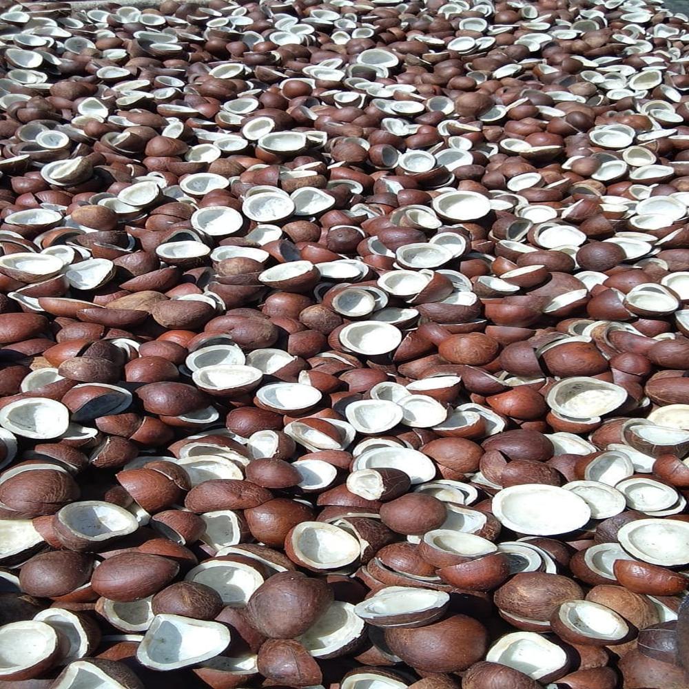Rajapuri Copra