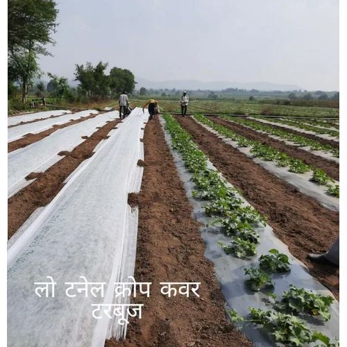 Agriculture Crop Cover