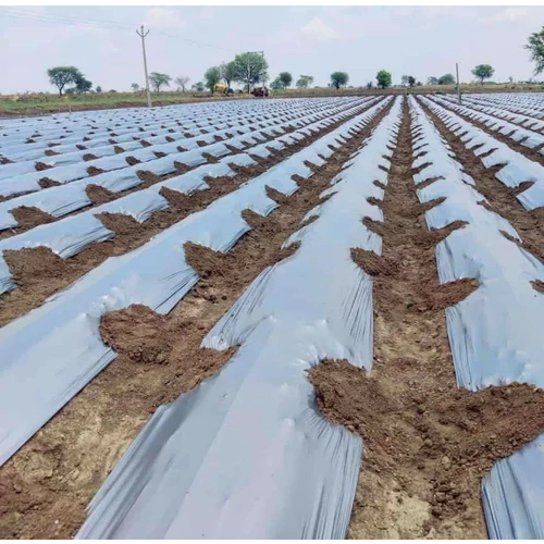 21 To 30 Micron Kothari Mulching