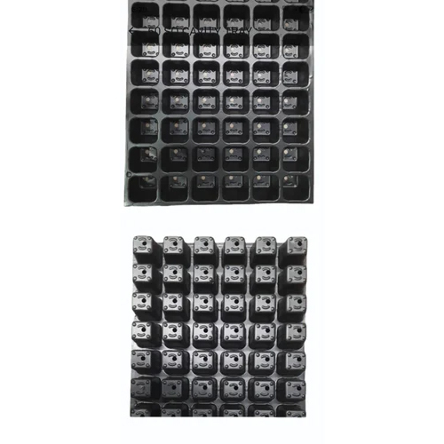 Seedling Tray