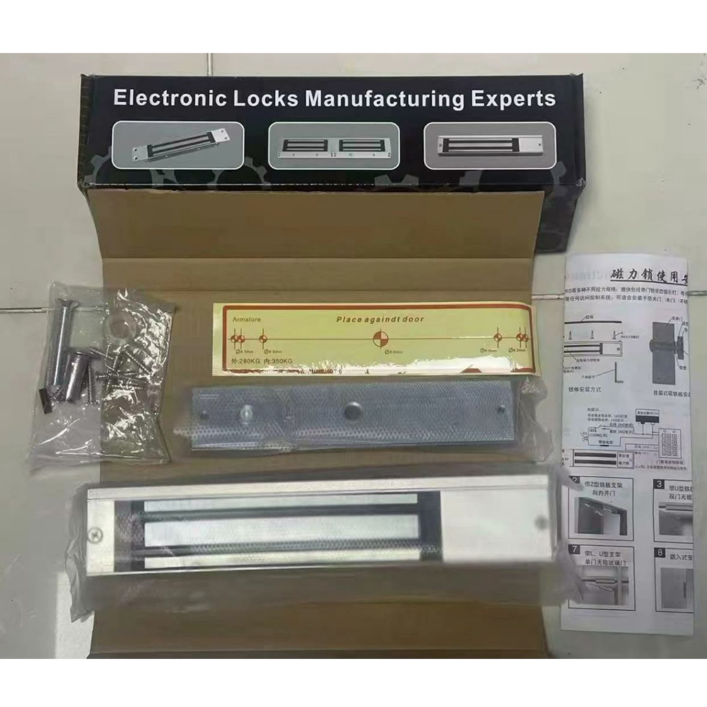 Electromagnetic Lock