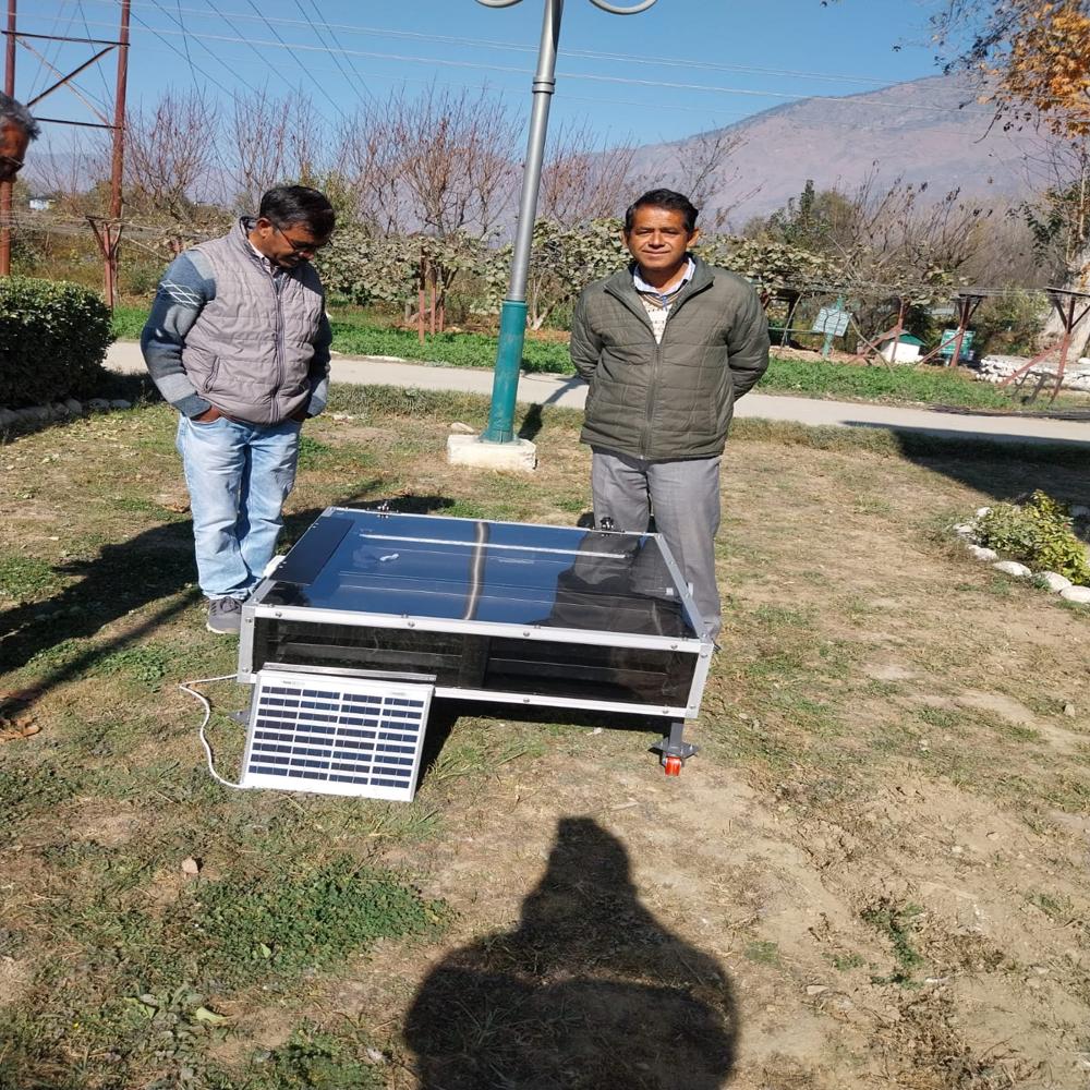 Solar Cabbage Dryer