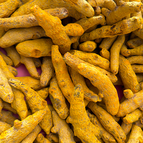 Turmeric Finger - Product Type: Fresh