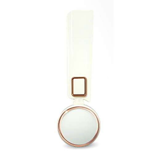 Fieta Ceiling Fan