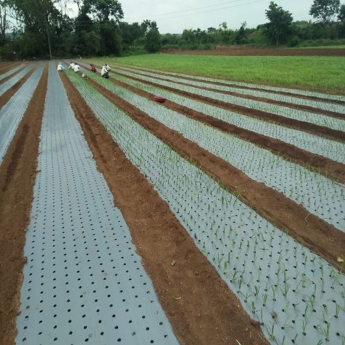 Mulching Paper