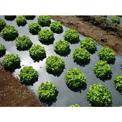 Mulching Paper
