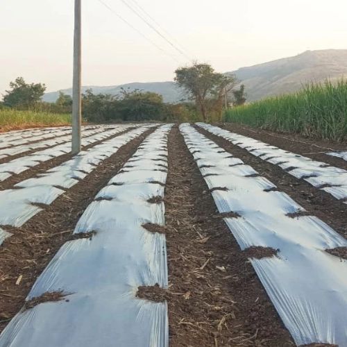 Mulching Paper