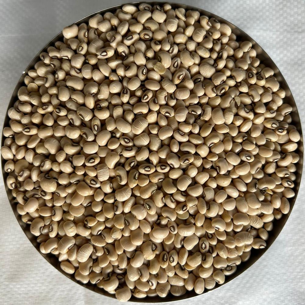 Black Eye Bean - Admixture (%): 0.5% Max