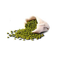 Green Mung Bean