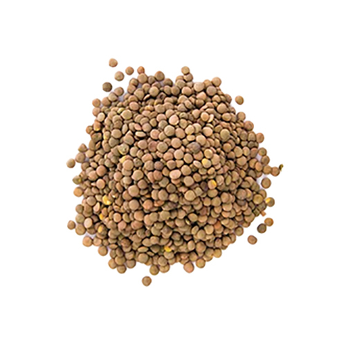 Masoor Whole - Whole Red Lentils
