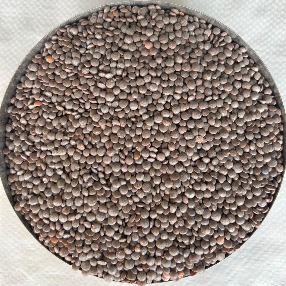Masoor Whole - Whole Red Lentils