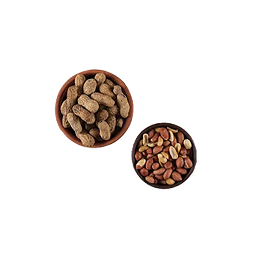 Peanuts - Groundnuts