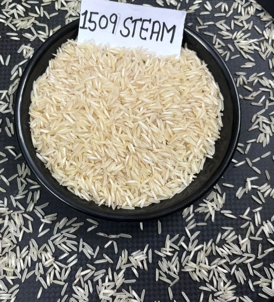 1509 Steam Basmati Rice