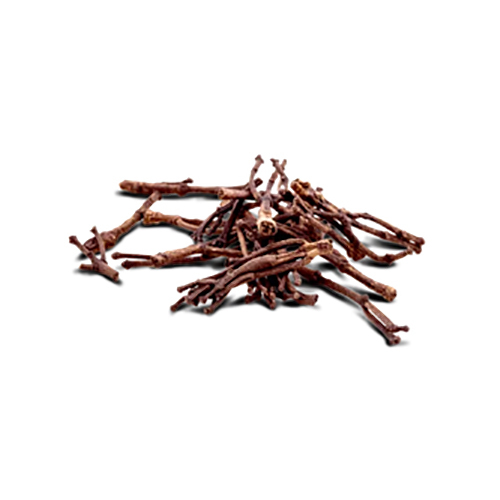 Clove Stems