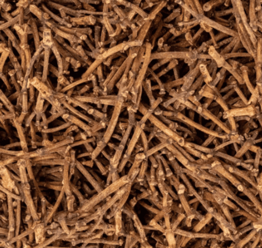 Clove Stems