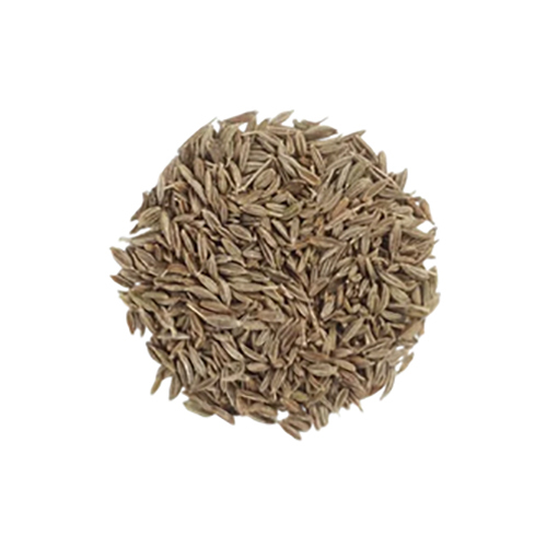 Dill Seeds