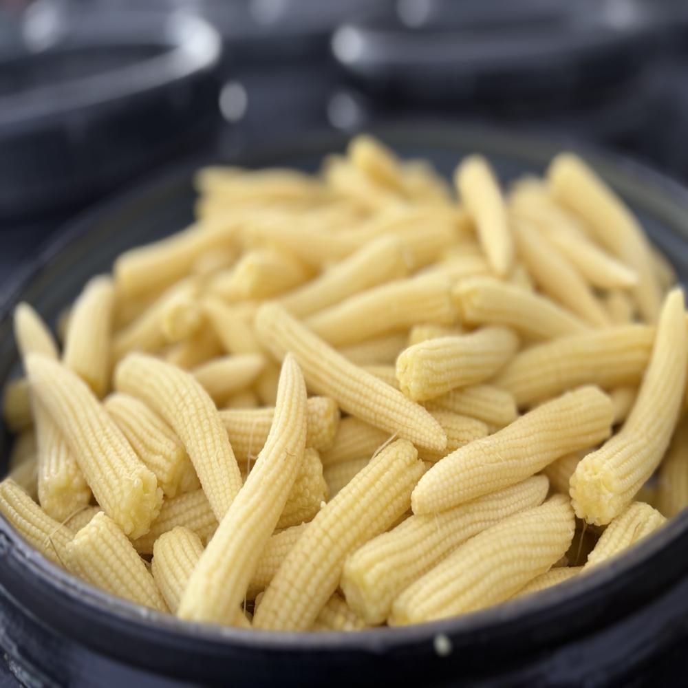 Preserved Baby Corn