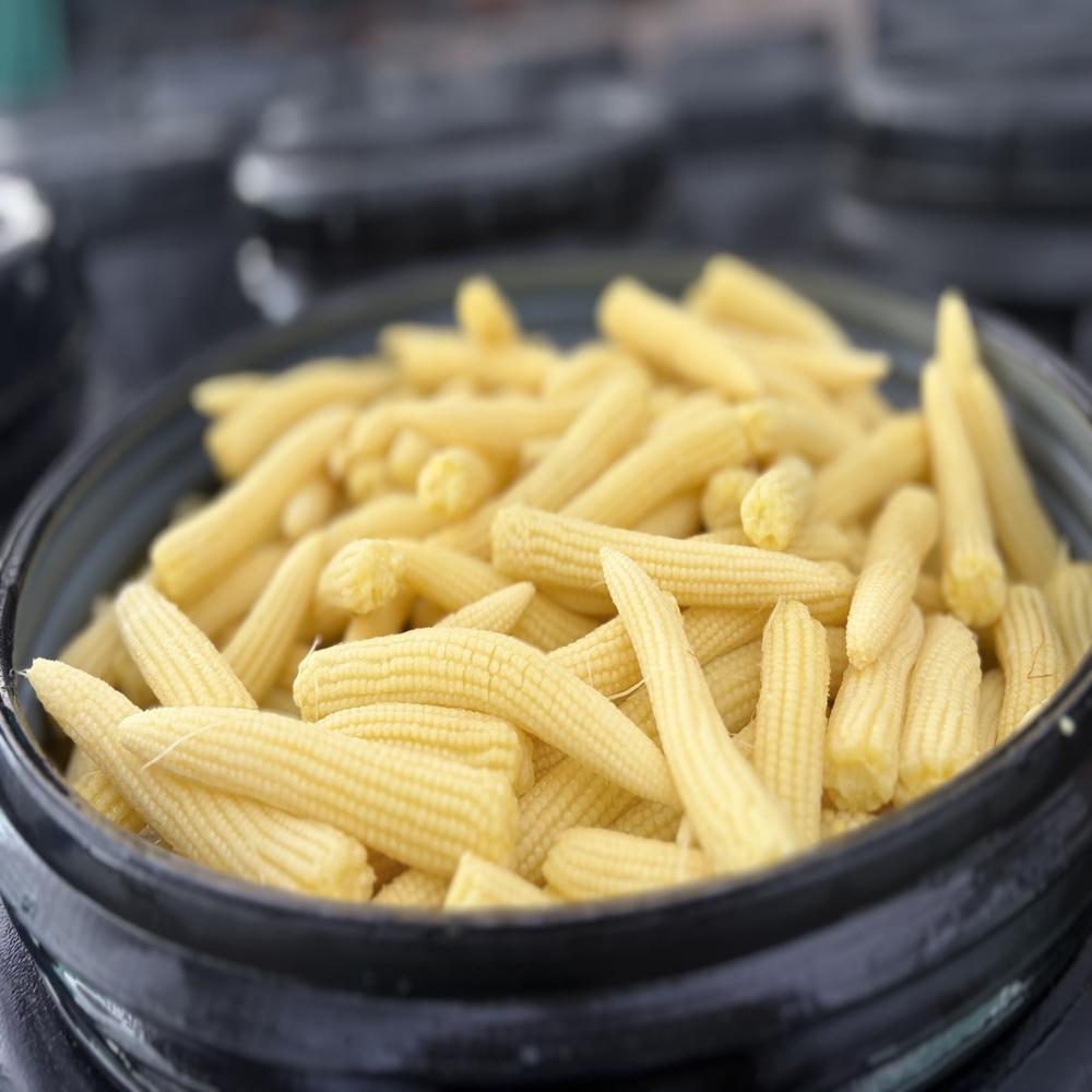 Preserved Baby Corn