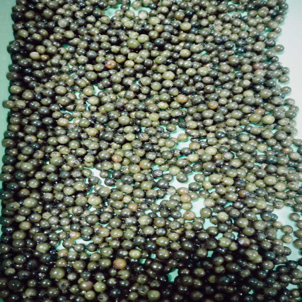 Preserved Green Peppercorn