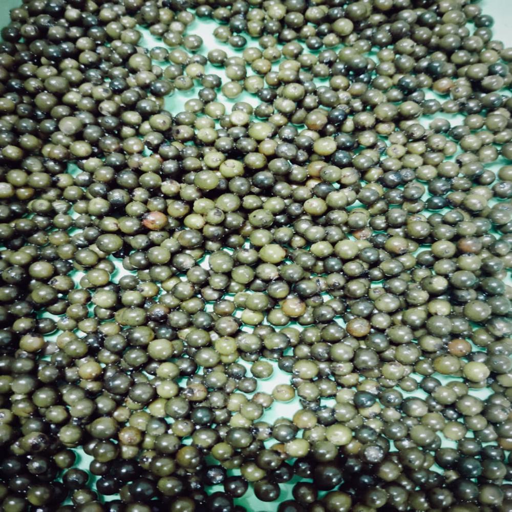 Preserved Green Peppercorn