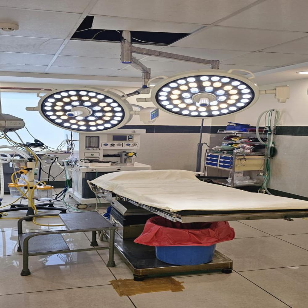 Double Dome LED Ceiling OT Light