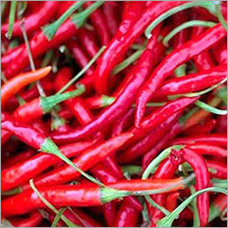 लाल मिर्च