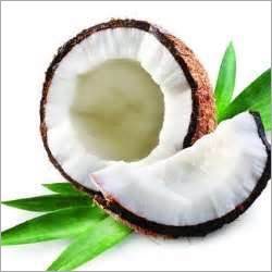 पोषण नारियल