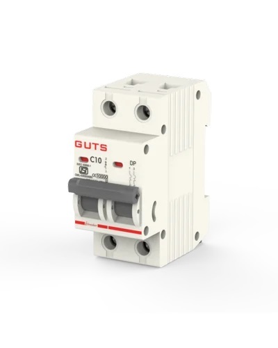 10A Guts C Curve DP Miniature Circuit Breaker