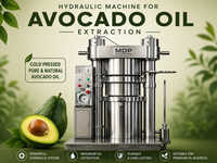 Hydraulic Avocado Oil Extraction Machine