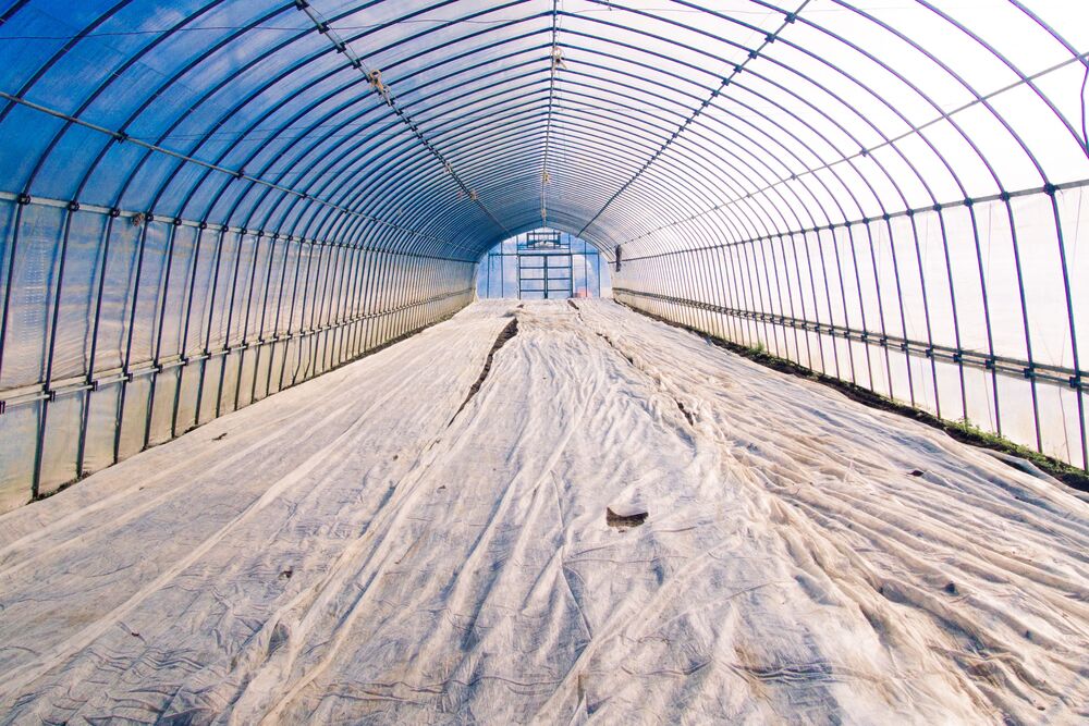 HDPE Sheet For Green House