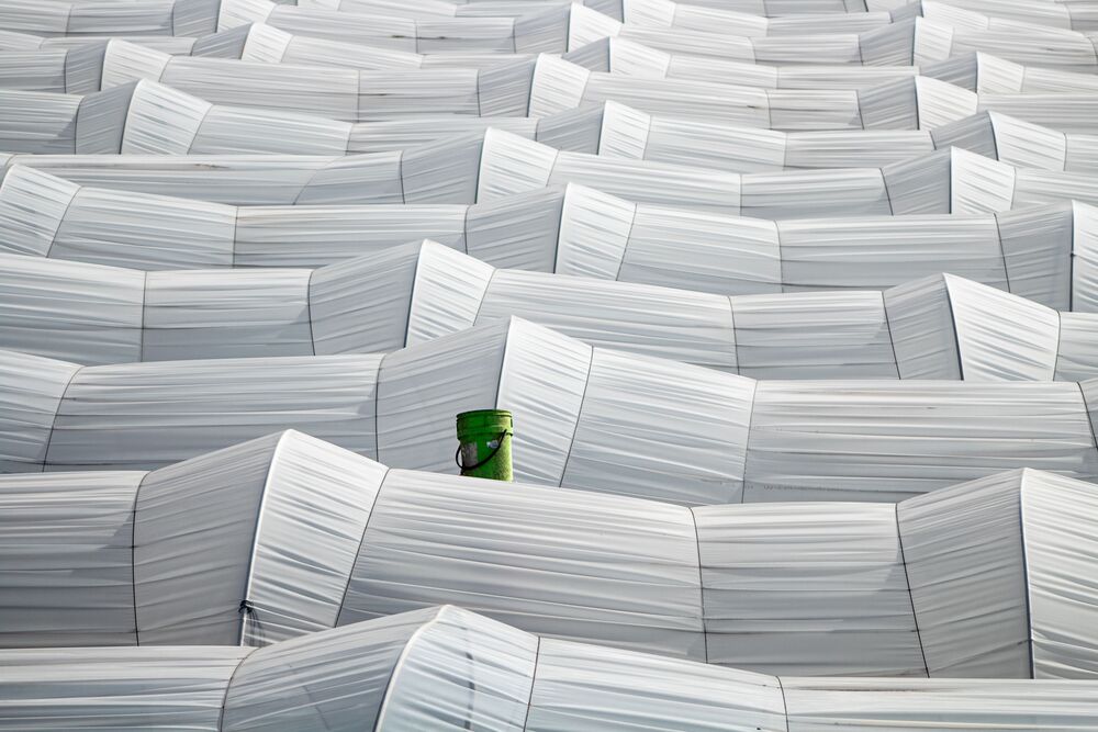 HDPE Sheet For Green House