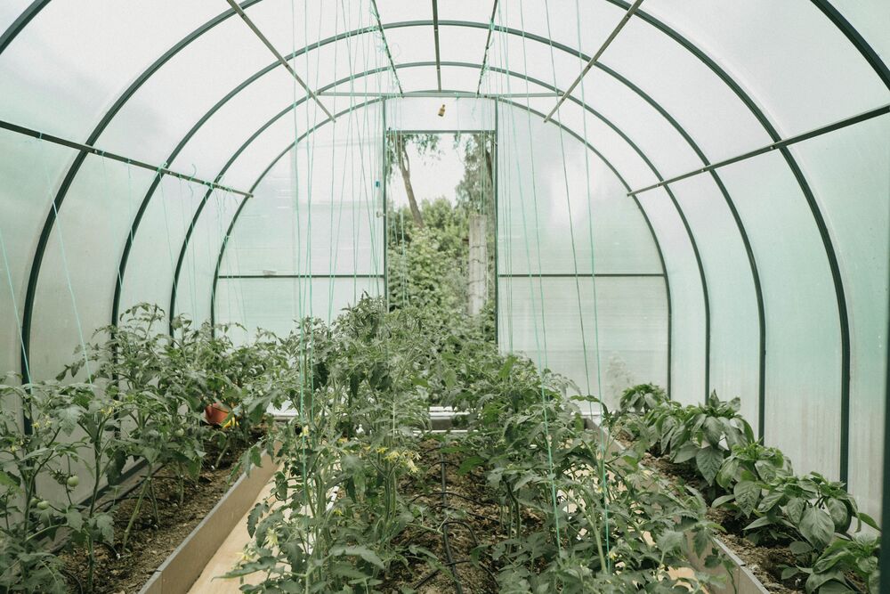 HDPE Sheet For Green House