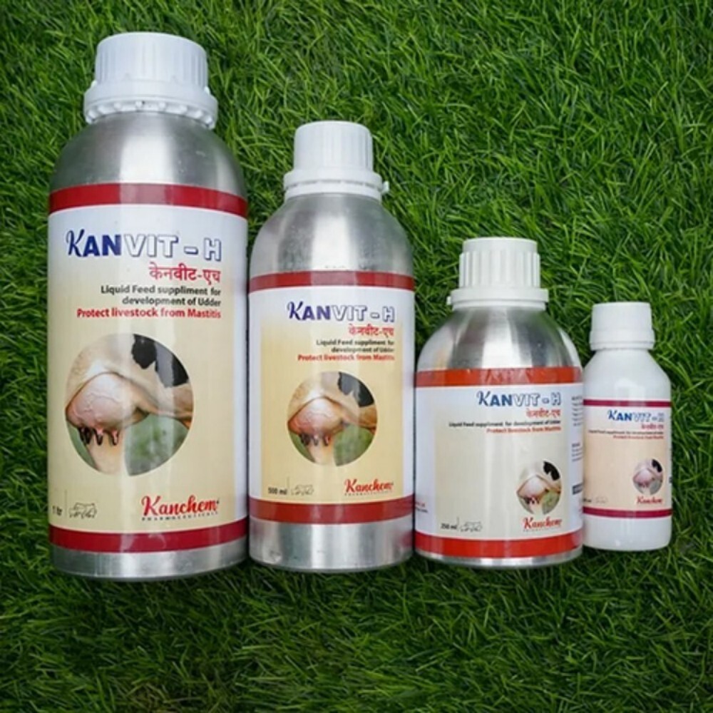 Kanvit-h Feed Supplement - Liquid Feed Preservative For Cattle | Promotes Healthy Digestion, Improves Immunity, Fresh Texture, Delicate Smell