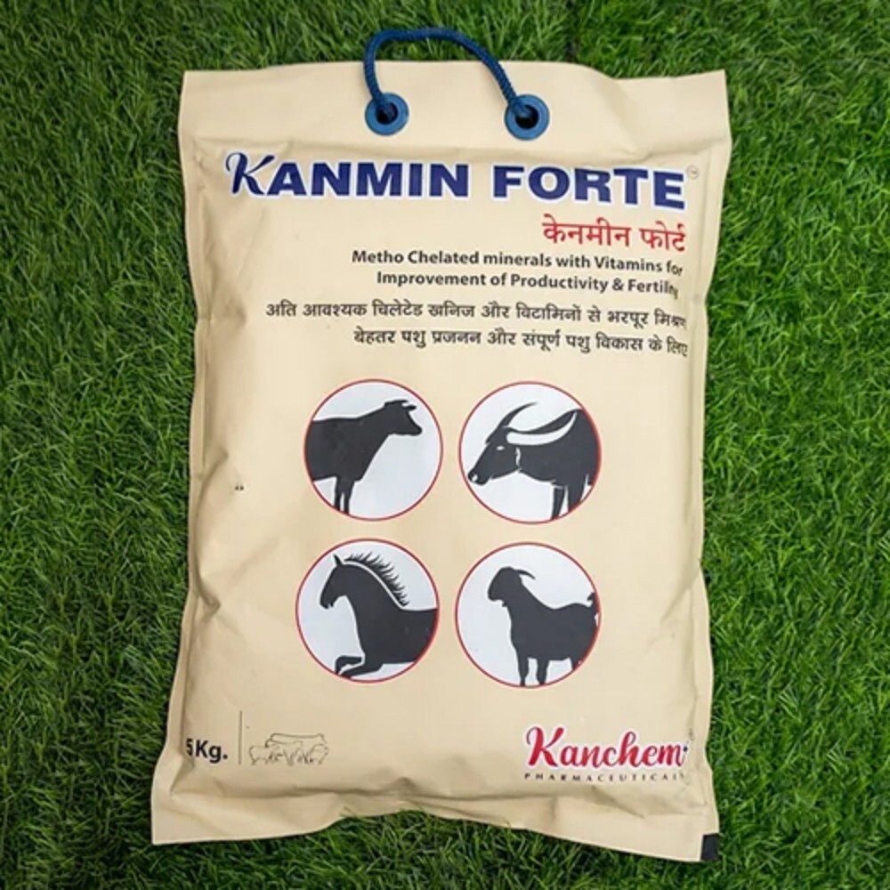 5kg Kanmin Forte Feed Supplement