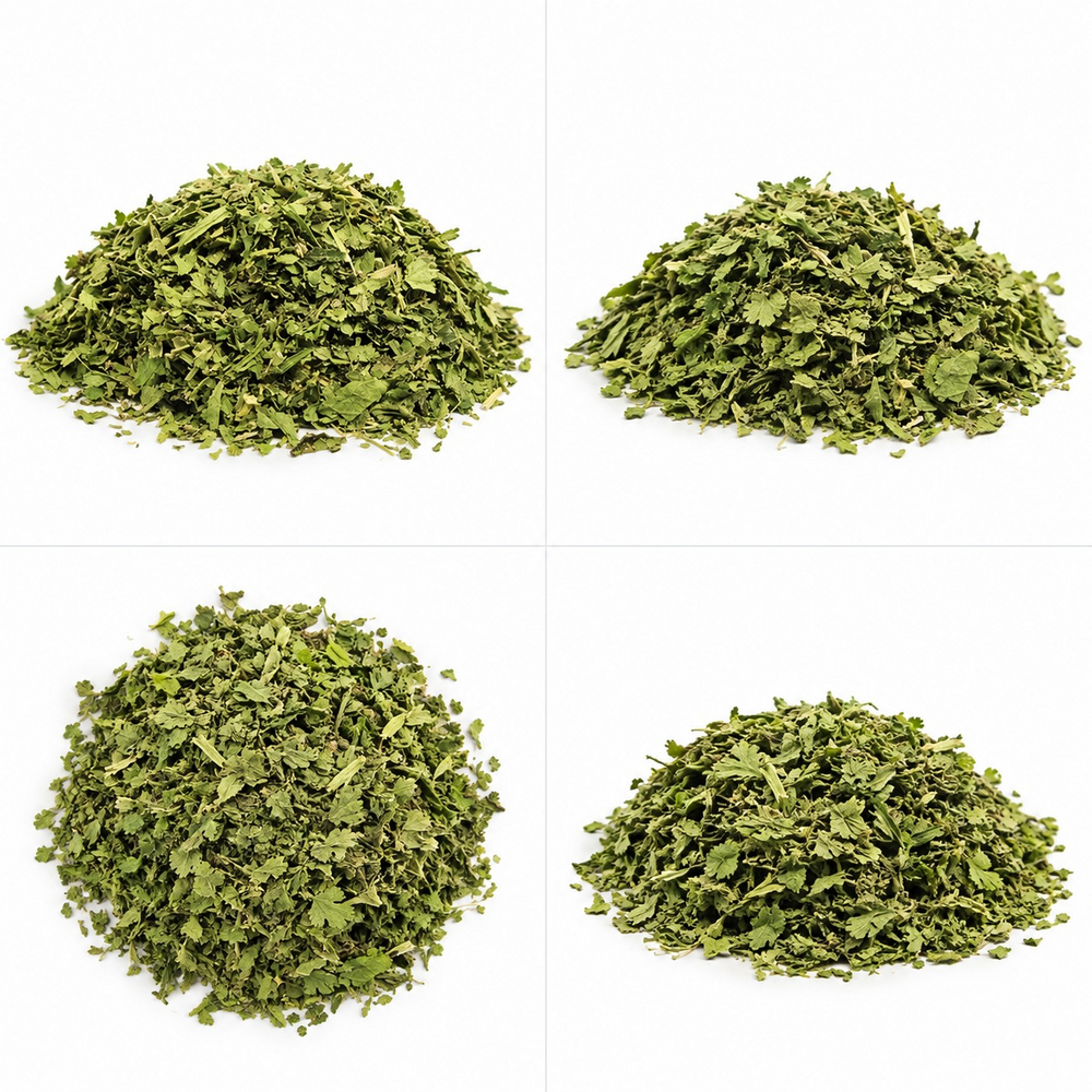 Dried Coriander Leaves - Preserving Compound: As Per Industry Norms