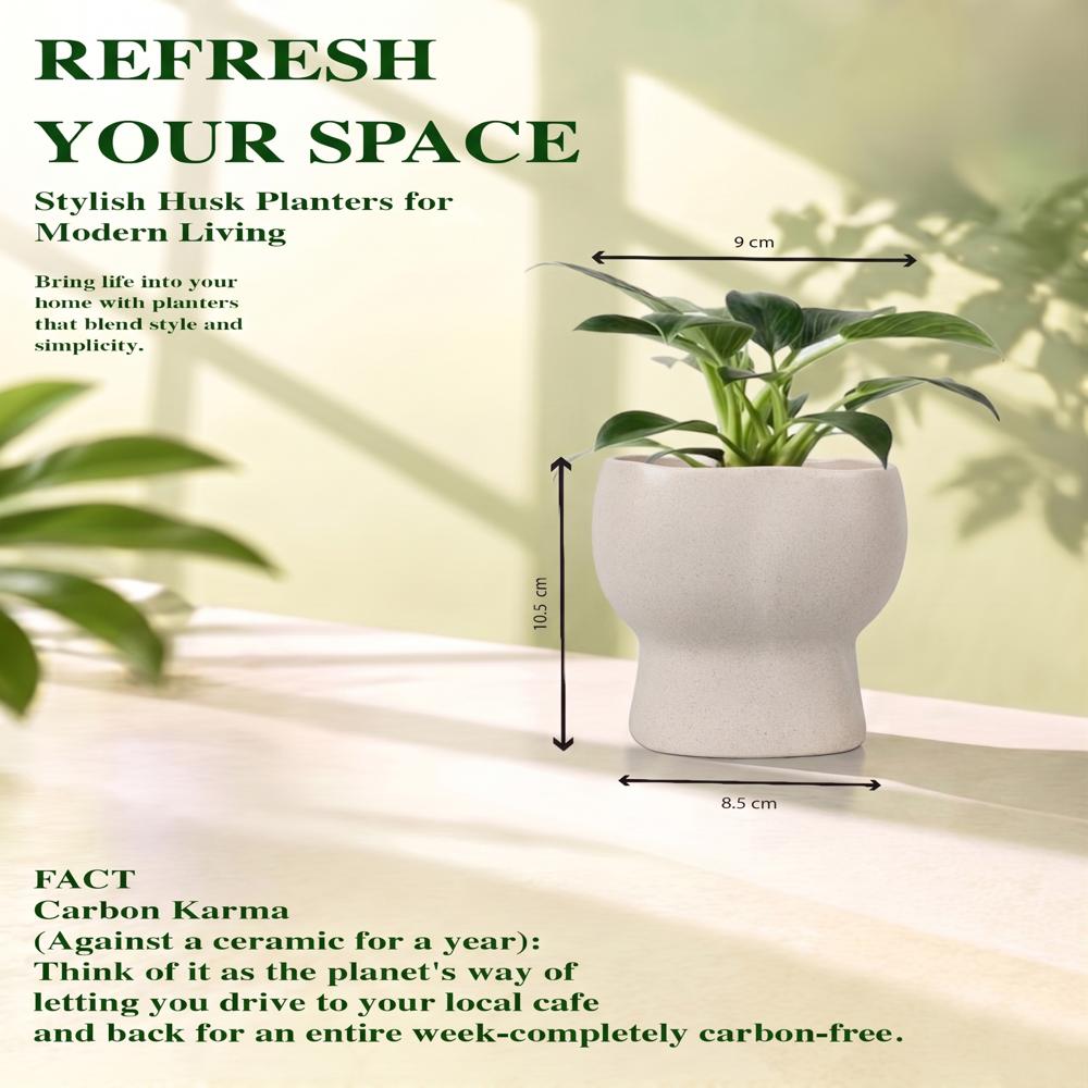 Planter 440 ml Ecofriendly Planter with less carbon Manufacture | Desk Planter |