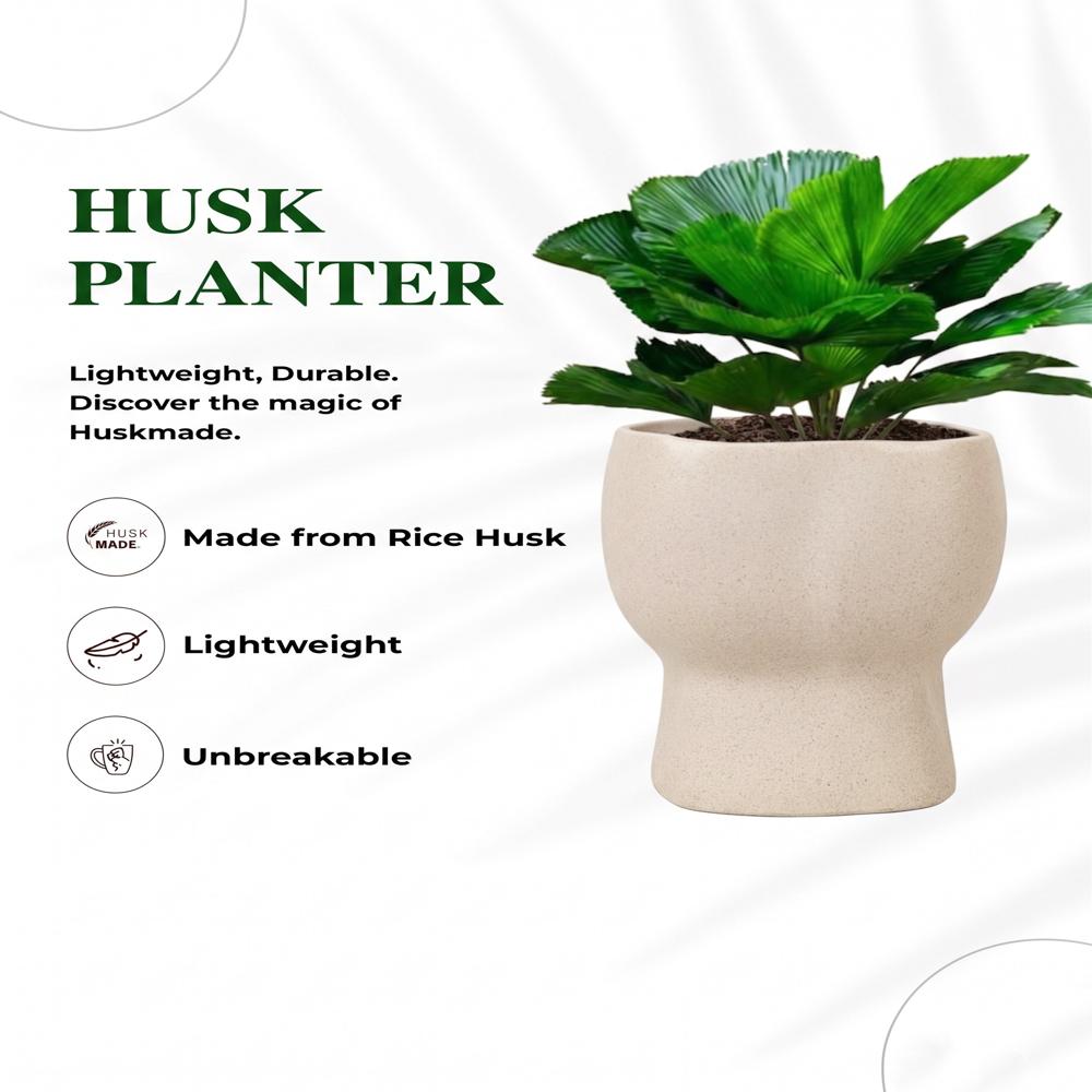 Planter 440 ml Ecofriendly Planter with less carbon Manufacture | Desk Planter |