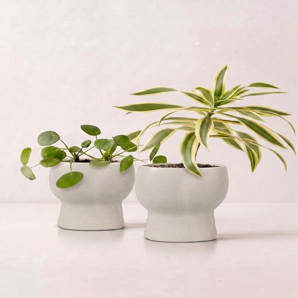 Planter 440 ml Ecofriendly Planter with less carbon Manufacture | Desk Planter |