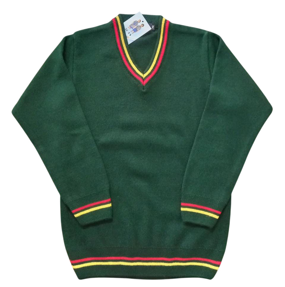 School V Neck Sweater