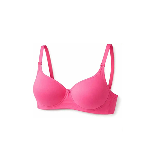 Lylon Fabric Padded Bra
