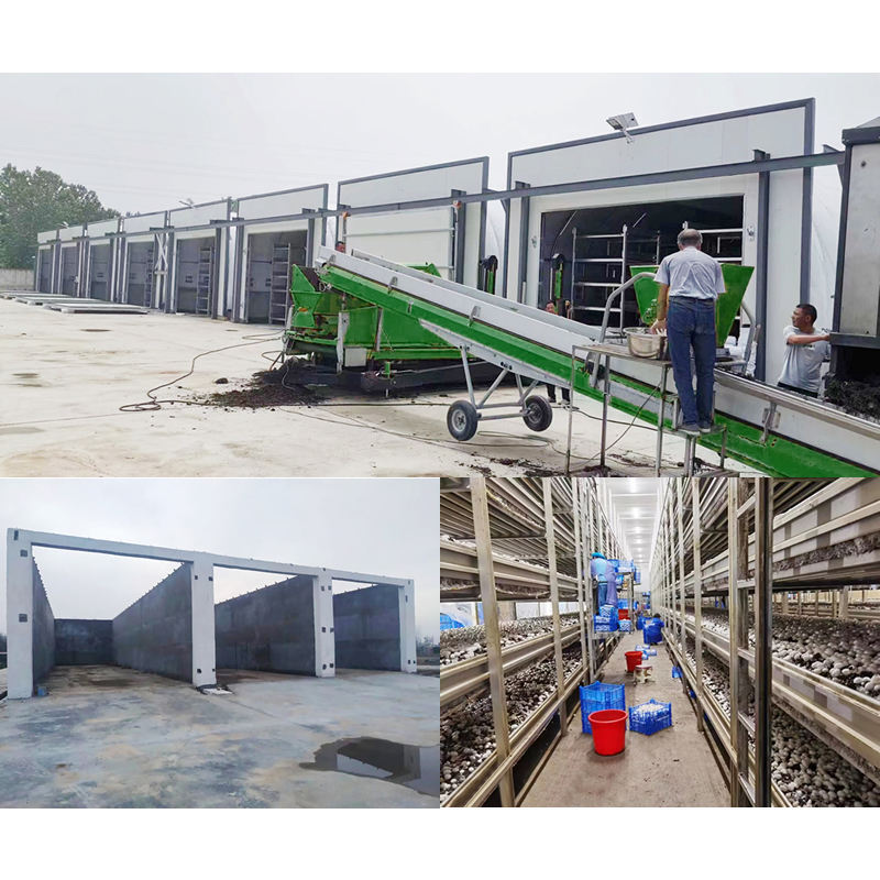 Mushroom Farm Design and Groiwng System Equipment